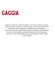 Anel oring de vedacao da caldeira cafeteira gaggia classic