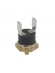 Termostato do cafe 145C cafeteira gaggia baby twin, baby class, classic P3 K7