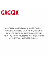 Cappucinador de leite para cafeteira saeco e gaggia P2 I2