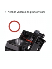 Descalcificante 250ml  Gaggia + graxa atoxica 5g + Kit Oring