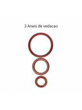 Descalcificante 250ml  Gaggia + graxa atoxica 5g + Kit Oring